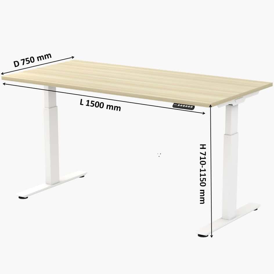 Ergonomic Height Adjustable Desk CYBERJAYA PUTRAJAYA2