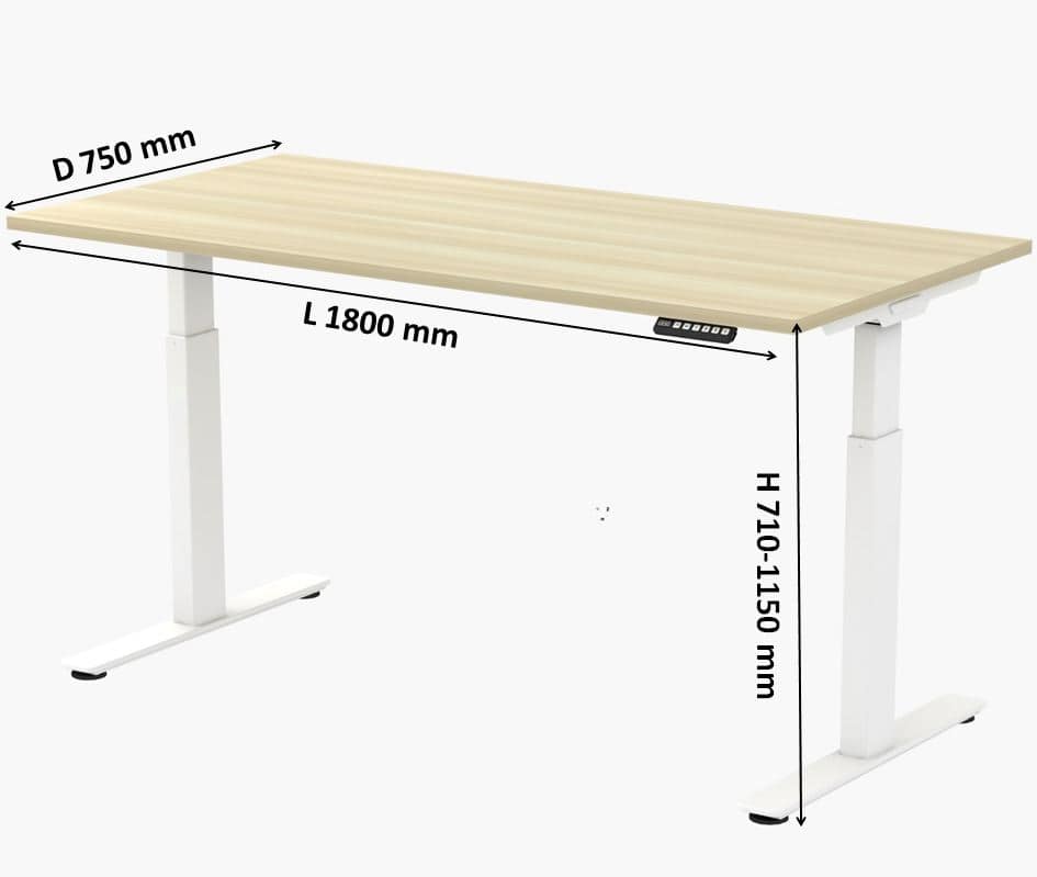 Ergonomic Height Adjustable Desk SUBANG SUNWAY MALAYSIA