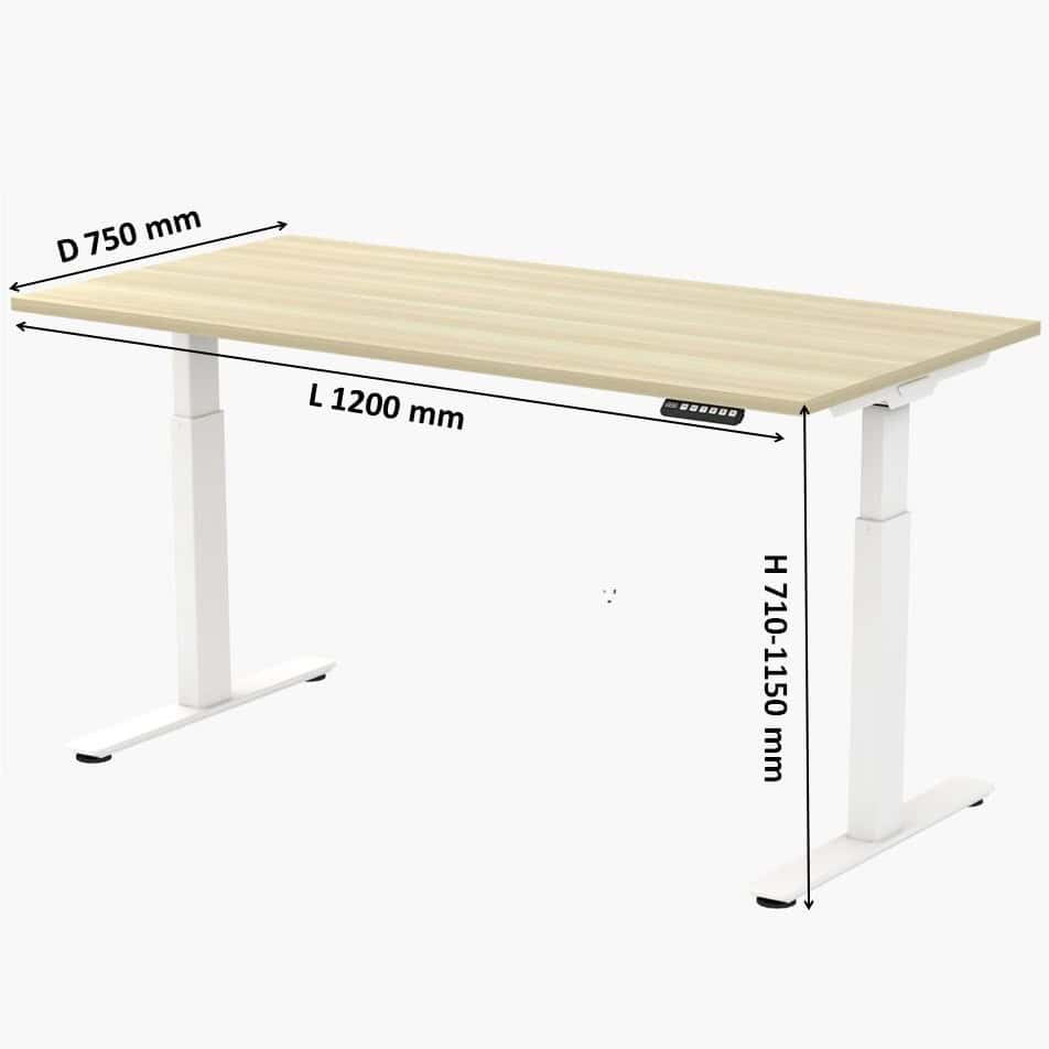 Ergonomic Height Adjustable Desk kajang sungai besi1