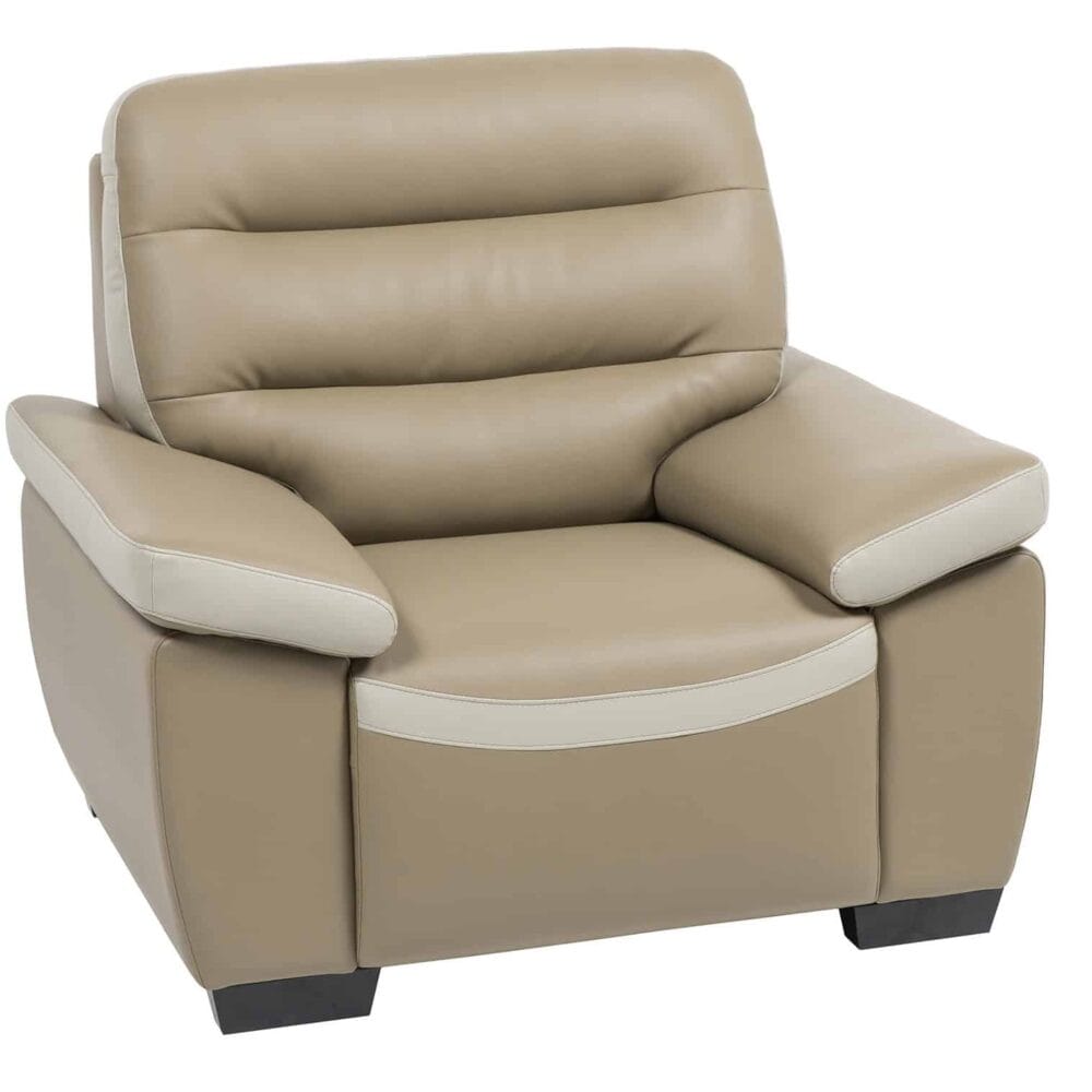 Fantabulous Single Seater Sofa Bukit Jelutong Klang Setia Alam1