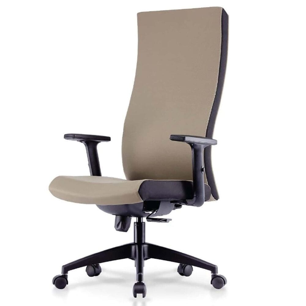 Fastidious Modern Highback Office Chair Subang Jaya Petaling Jaya Kelana Jaya Cyberjaya Putrajaya1a Fastidious Modern Highback Office Chair Subang Jaya Petaling Jaya Kelana Jaya Cyberjaya Putrajaya1a