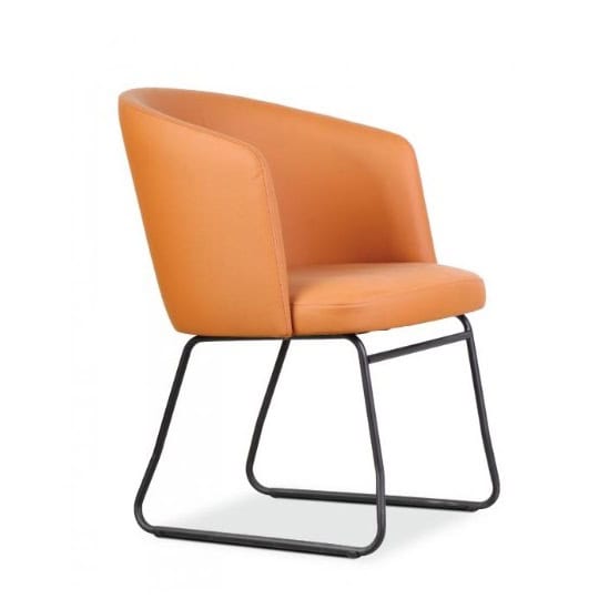 Frisky 1 Sled Lounge Chair Kuala Lumpur Negeri Sembilan Terengganu Frisky 1 Sled Lounge Chair Kuala Lumpur Negeri Sembilan Terengganu