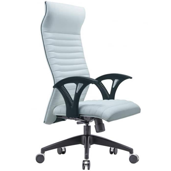 Verdant Curve Highback Office Chair Type A Sunway Shah Alam Petaling Jaya