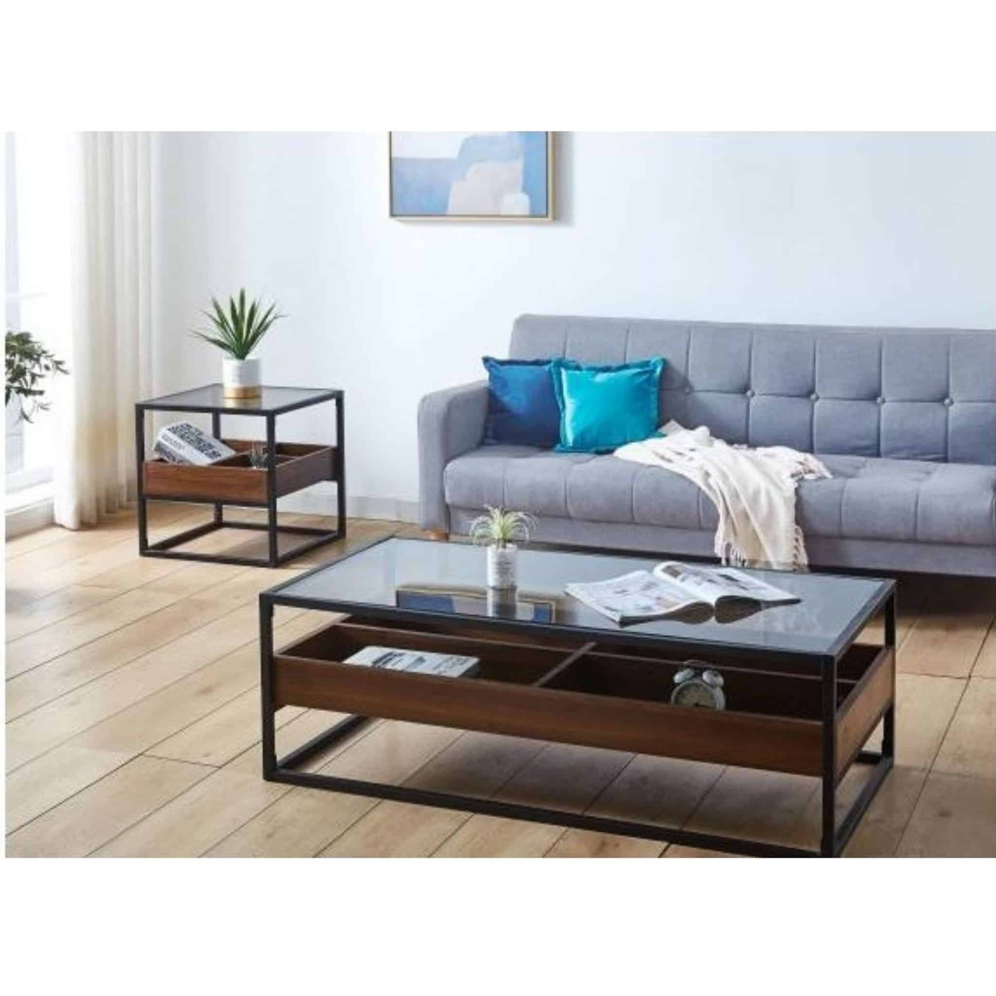 Serene Coffee Table Banting Ampang Subang