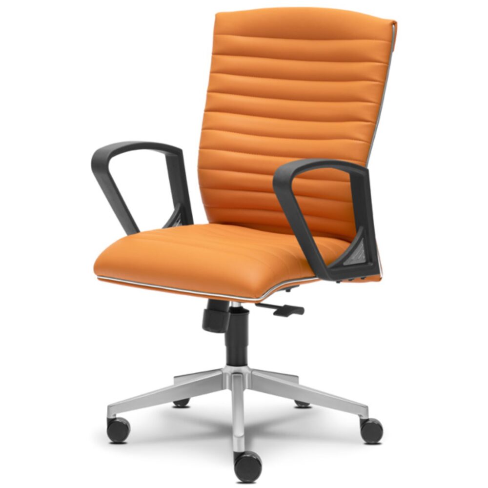 Simply Sensible Lowback Office Chair Klang Bayan Baru Bukit Minyak Simply Sensible Lowback Office Chair Klang Bayan Baru Bukit Minyak