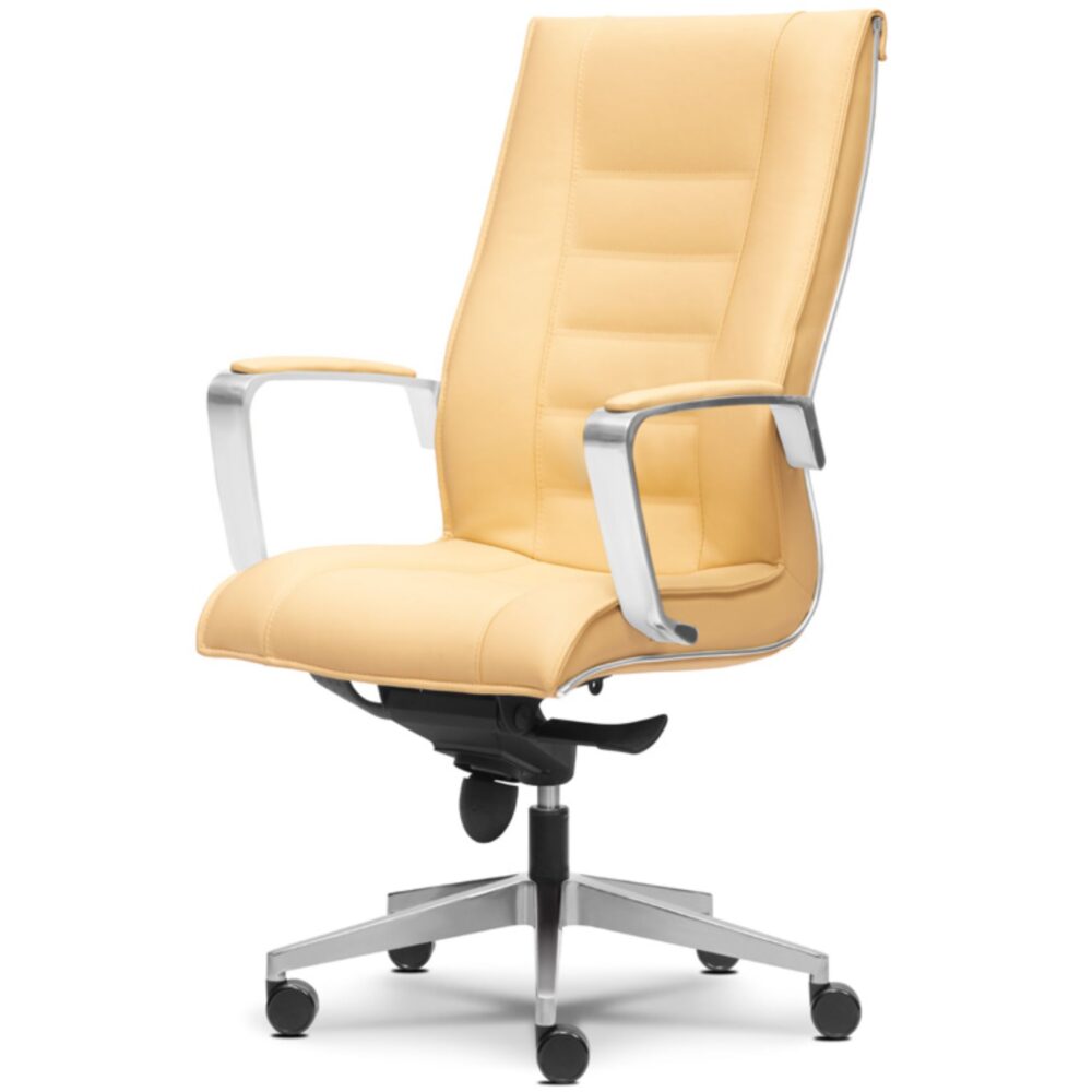 Strike Office Director Highback Chair Tampol Sepang Ipoh Strike Office Director Highback Chair Tampol Sepang Ipoh