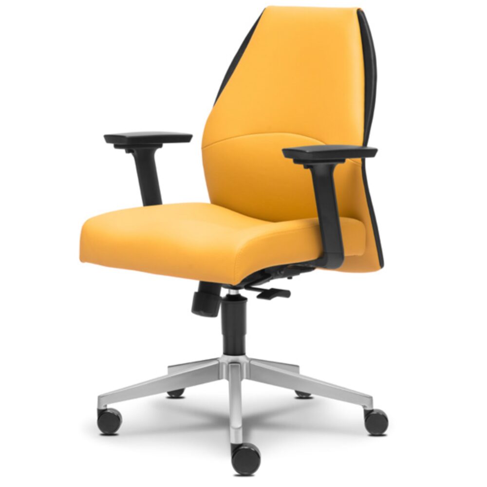 Vero Office Lowback Executive Chair Bangi Kengar Segamat