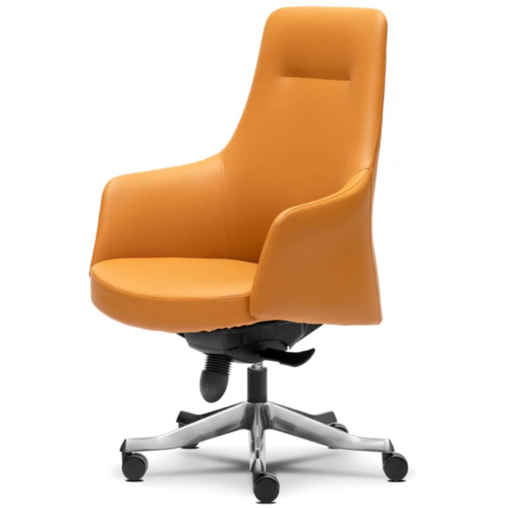 Walt Modern Executive Lowback Chair Kangar Perlis Johor Walt Modern Executive Lowback Chair Kangar Perlis Johor
