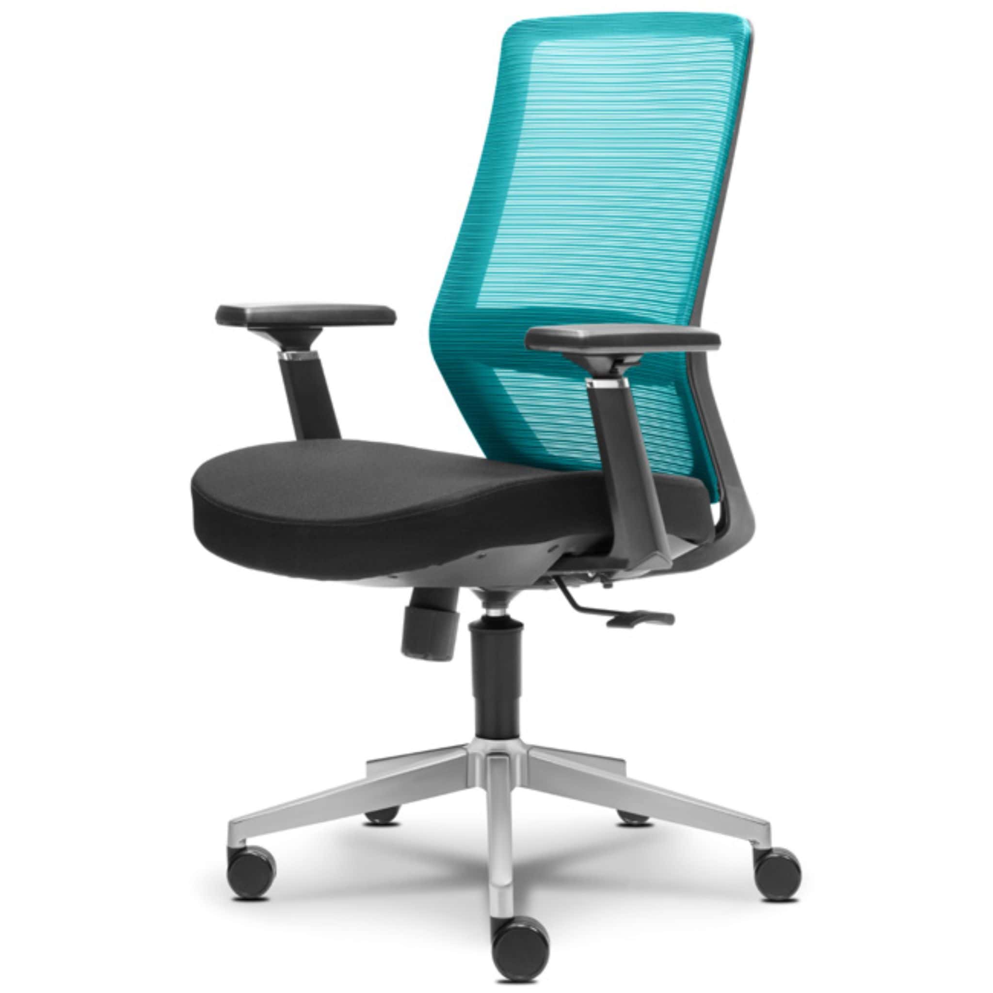 Ryder Executive Lowback Mesh Chair Banting Klang Manjung