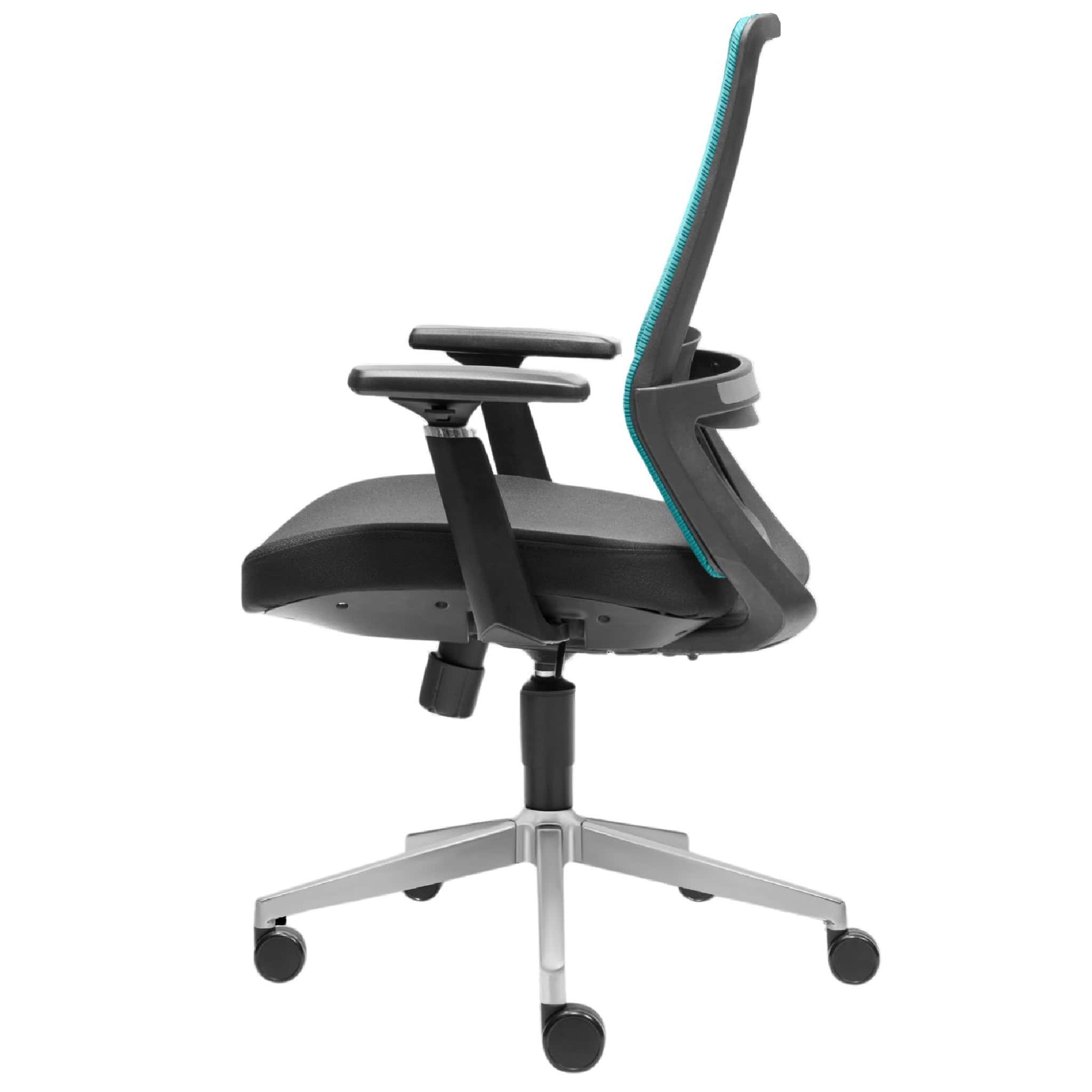 Ryder Executive Lowback Mesh Chair Klang Ipoh Banting