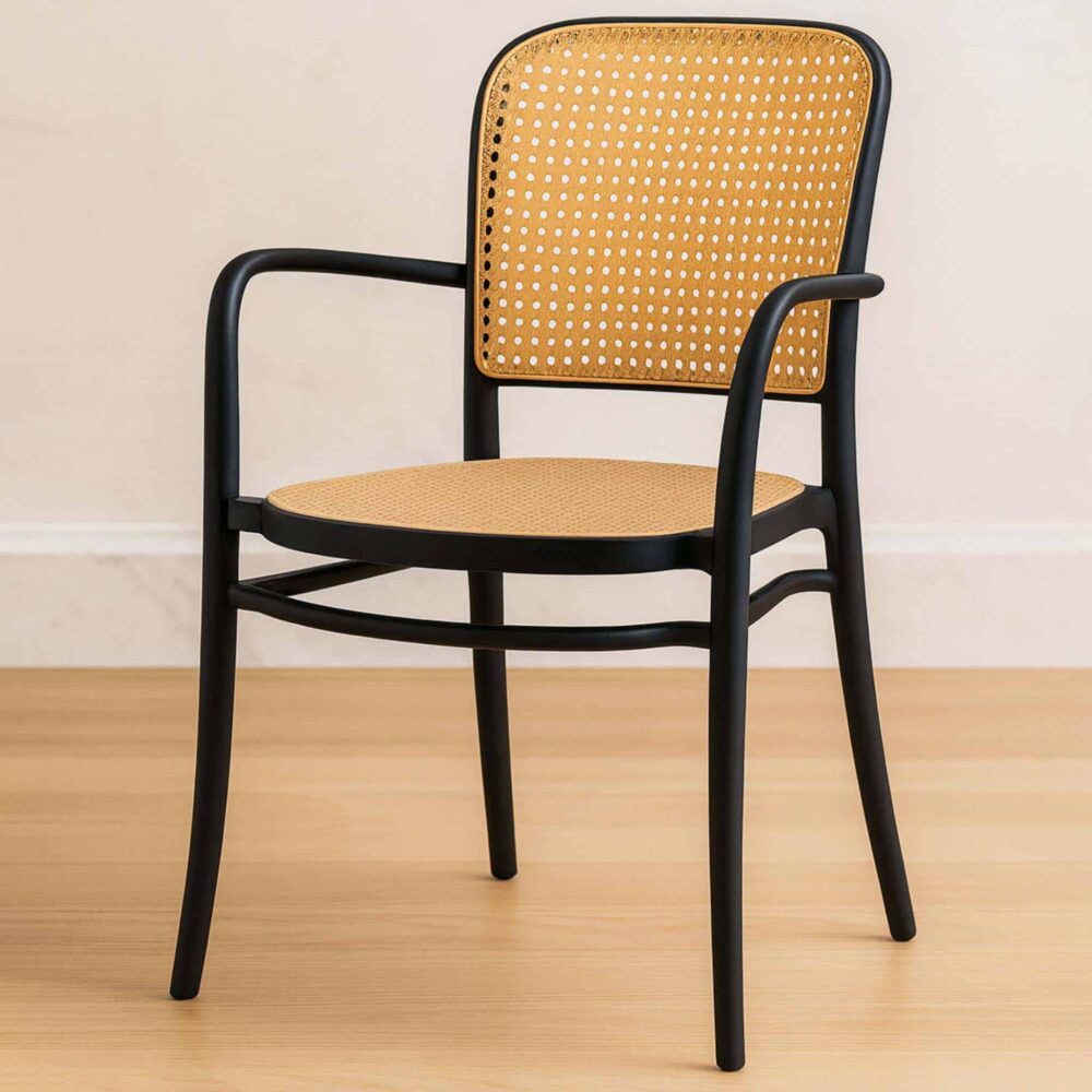 Modenza Rattan Outdoor Armchair Taman Equine Bukit Antarabangsa USJ Modenza Rattan Outdoor Armchair Taman Equine Bukit Antarabangsa USJ