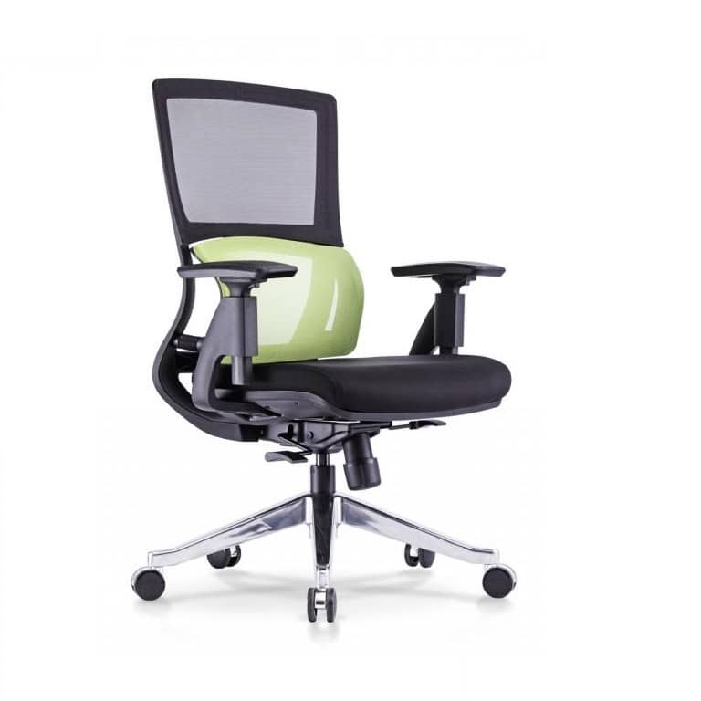 Amiable Classic Mediumback Office Chair Type B Pandamaran Selayang Serdang