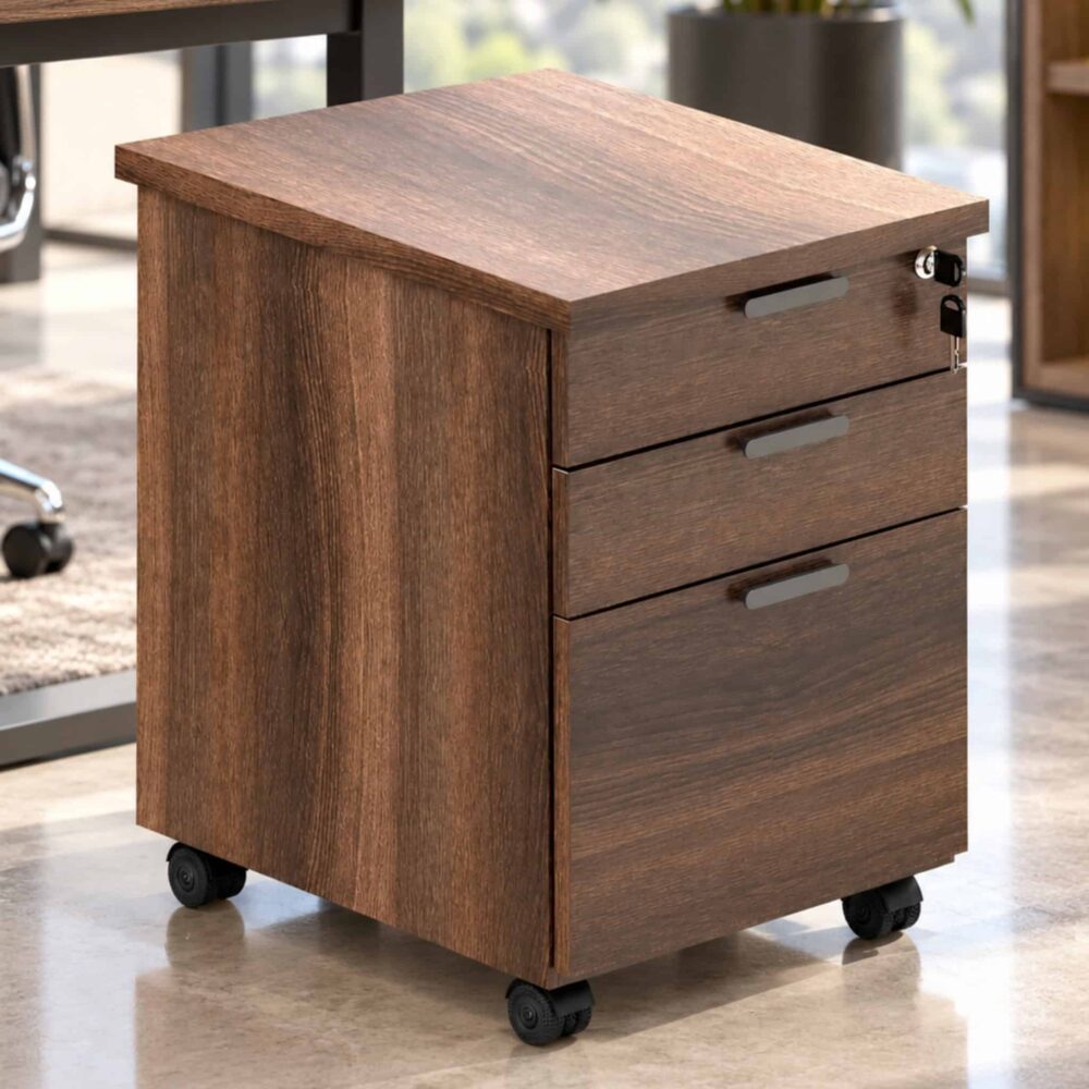 Wesley Office Mobile Pedestal 2 Drawer 1 Filling Drawer Pulau Carey Klang Serdang Wesley Office Mobile Pedestal 2 Drawer 1 Filling Drawer Pulau Carey Klang Serdang
